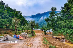 Một khu vực có dấu hiệu bị san gạt, cải tạo mặt bằng giữa rừng phòng hộ Sóc Sơn, xã Kim Anh, Hà Nội. (Ảnh: Trung Nguyên/TTXVN)