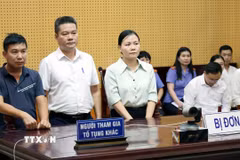 Người tham gia tố tụng. (Ảnh: TTXVN phát)