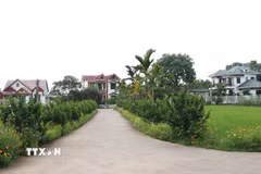 Đường làng, ngõ xóm tại xã Dương Thành (Thái Nguyên) xanh, sạch, đẹp. (Ảnh: Trần Trang/TTXVN)