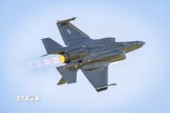 Máy bay chiến đấu tàng hình F-35 Lightning II. (Ảnh: PAP/TTXVN)