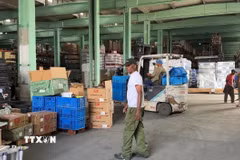 Trong một kho hàng nhập khẩu ở thủ đô La Habana. (Ảnh: Việt Hùng /TTXVN)