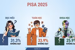 (Hình minh họa: Vietnam+)