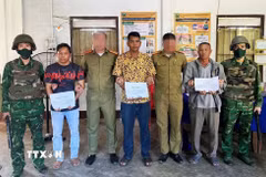 Lực lượng chuyên án đã đấu tranh, bắt giữ 3 đối tượng người Lào có liên quan vụ việc, gồm: A Mày (sinh năm 1962), Thạo A Lăm (sinh năm 1983) và Thạo Đỏ (sinh năm 1981). (Ảnh: TTXVN phát)