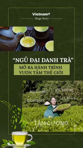 “Ngũ đại danh trà”: Mở ra hành trình vươn tầm thế giới 