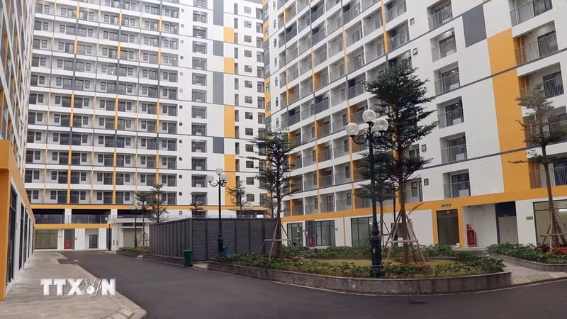 Nhà ở xã hội tăng tốc, giảm áp lực bằng nhà ở cho thuê