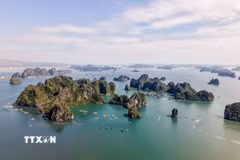Định danh địa điểm là hoạt động thu thập, tạo lập dữ liệu và cấp mã định danh cho một địa điểm nhằm phân biệt địa điểm này với địa điểm khác. (Ảnh: Hoàng Hiếu/TTXVN)