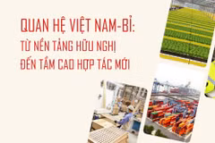 Việt Nam-Bỉ: Từ nền tảng hữu nghị đến tầm cao hợp tác mới