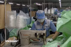 Sản xuất bao bì tại Công ty TNHH KMV Việt Nam, Khu Công nghiệp Bình Xuyên, Xã Bình Nguyên, tỉnh Phú Thọ. (Ảnh: Nguyễn Thảo/Vietnam+)