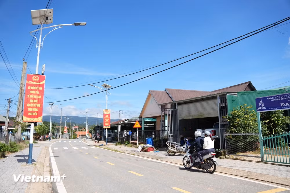 vnp_lam-dong-giam-ngheo-7076.jpg
