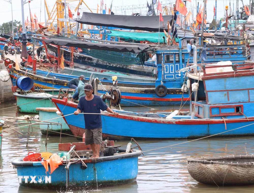 ttxvn-ung-pho-bao-so-13-tau-thuyen-o-khanh-hoa-khan-truong-tranh-tru-05.jpg