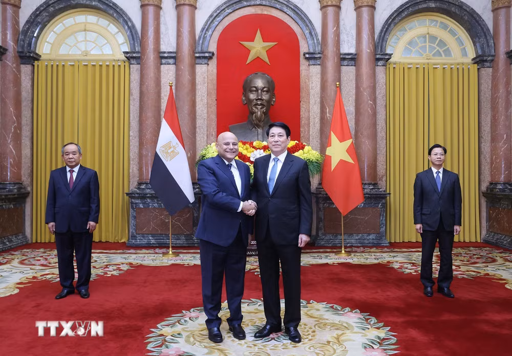 ttxvn-chu-tich-nuoc-tiep-dai-su-ai-cap-trinh-quoc-thu-12-2.jpg