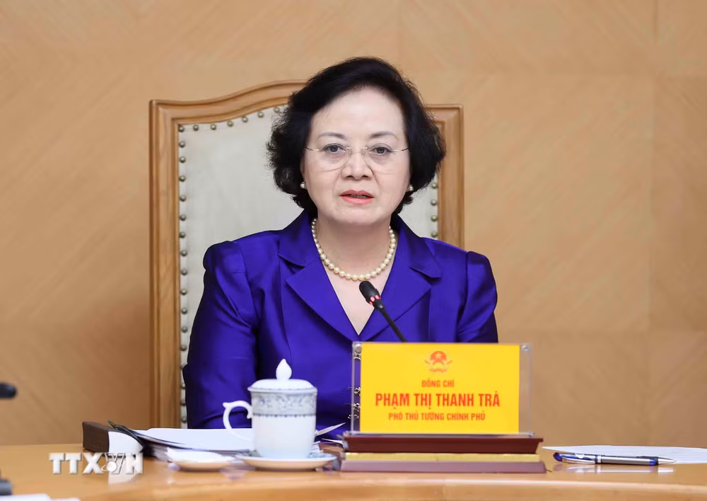 ttxvn_pho-thu-tuong-pham-thi-thanh-tra-lam-viec-ve-de-an-cai-cach-chinh-sach-tien-luong-va-bao-hiem-xa-hoi-5465.jpg