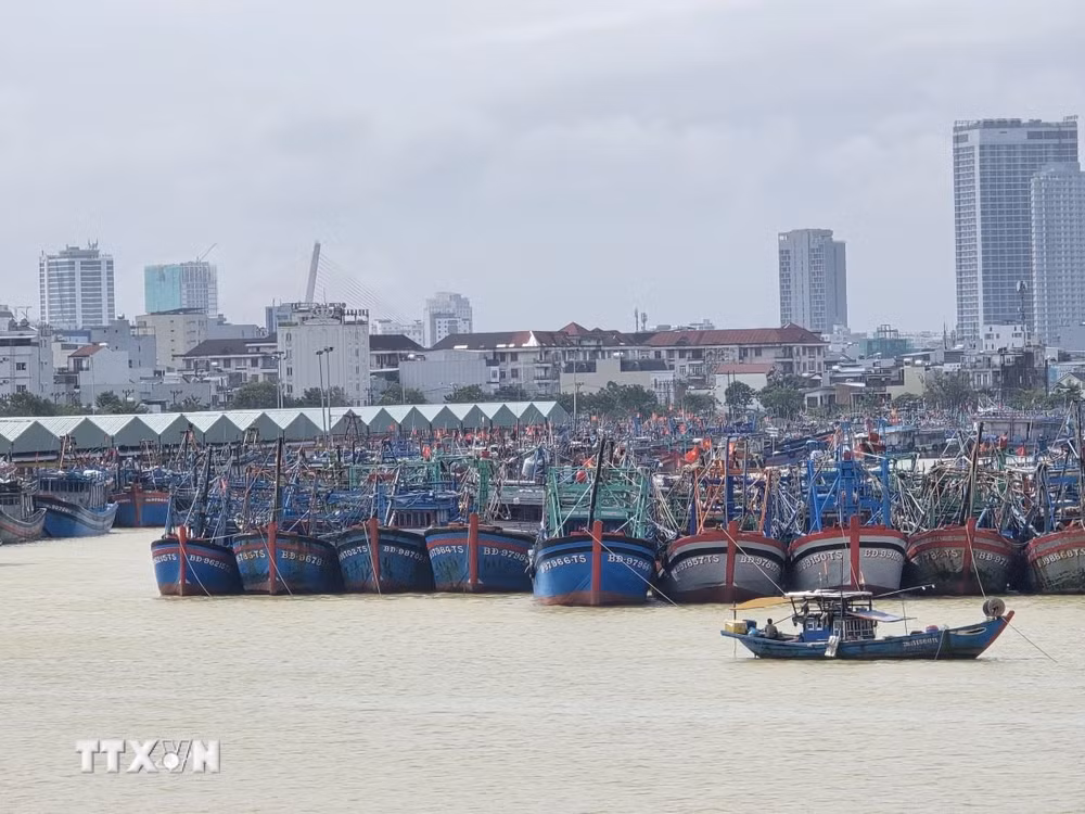 ttxvn-da-nang-tau-thuyen-khan-truong-vao-tranh-tru-truoc-bao-so-13-06.jpg
