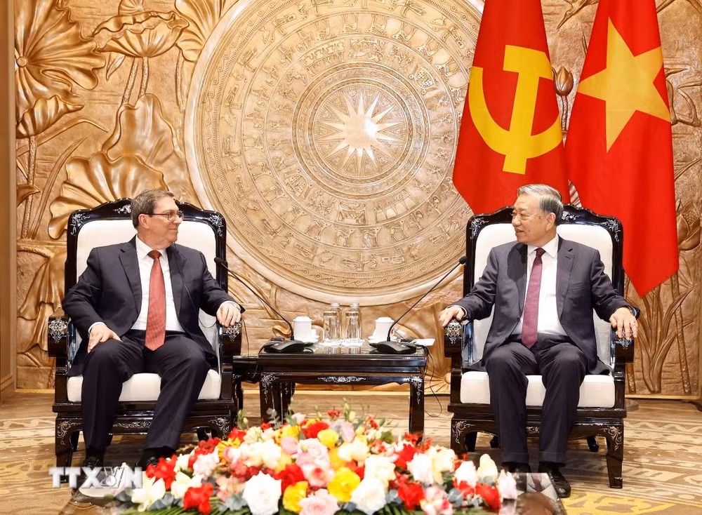 ttxvn-tong-bi-thu-to-lam-tiep-dac-phai-vien-dang-nha-nuoc-cuba-uy-vien-bo-chinh-tri-bo-truong-ngoai-giao-cuba-02-2.jpg