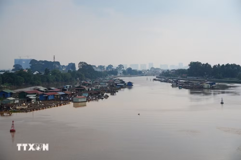 ttxvn-dong-nai-du-kien-se-giai-toa-gan-2000-long-nuoi-thuy-san-tren-song-doan-qua-trung-tam-thanh-pho-0709-2.jpg