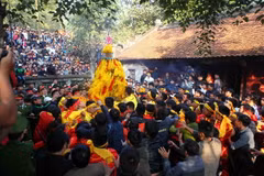 Người dân chen nhau để cướp lộc hoa tre tại lễ Hội Gióng đền Sóc năm 2016. (Ảnh: Quý Trung/TTXVN)