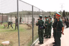 Đoàn Army Games Việt Nam trao đổi kinh nghiệm đào tạo chó nghiệp vụ