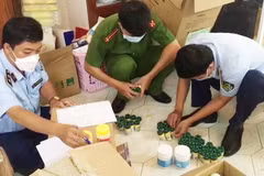 Lực lượng chức năng kiểm đếm số thuốc tạm giữ tại một nhà thuốc. (Ảnh: TTXVN phát)