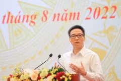 Phó Thủ tướng Chính phủ Vũ Đức Đam phát biểu tại điểm cầu Hà Nội. (Ảnh: Thanh Tùng/TTXVN)