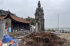 Gốc đa đã bị chặt hạ nằm sát cổng đình Chèm. (Nguồn: baovanhoa.vn)