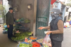 Một số mặt hàng rau xanh tăng nhẹ tại các chợ Hà Nội. (Ảnh: Minh Hiếu/Vietnam+)