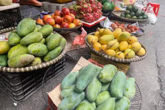 Nguồn cung hoa quả đầu mùa Hè đang khá dồi dào. (Ảnh: Minh Hiếu/Vietnam+)