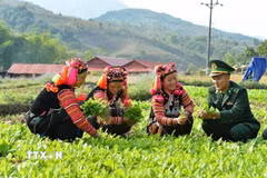 Tô thắm hình ảnh “Bộ đội Cụ Hồ” trong lòng nhân dân