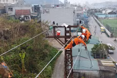 Thi công sửa chữa lưới điện trên địa bàn phường Hà Tu, thành phố Hạ Long. (Ảnh: Huy Hùng/TTXVN)