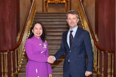 Phó Chủ tịch nước Võ Thị Ánh Xuân hội kiến Thái tử kế vị Đan Mạch Frederik. (Ảnh: An Đăng/TTXVN)