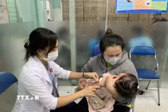 Ảnh minh họa. (Nguồn: TTXVN)