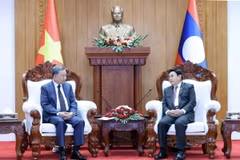 Chủ tịch nước Tô Lâm hội kiến Chủ tịch Quốc hội Lào Saysomphone Phomvihane. (Ảnh: Nhan Sáng/TTXVN)