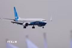 Máy bay của hãng Boeing. (Ảnh: THX/TTXVN)