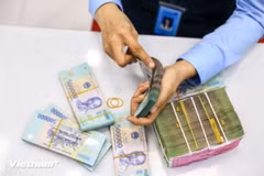 (Ảnh: PV/Vietnam+)