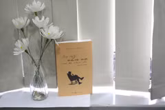 Bản dịch tiếng Việt do Nhà xuất bản Văn học và Công ty Cổ phần Sách Văn Việt phát hành. (Ảnh: Văn Việt Books)