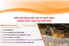 Một số động vật cực kỳ quý hiếm được phát hiện tại Việt Nam