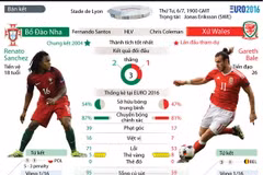 [Infographics] Những thông tin cơ bản về trận Bồ Đào Nha-Xứ Wales