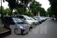 Ảnh minh họa. (Nguồn: TTXVN)