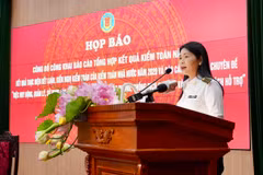 Bà Hà Thị Mỹ Dung, Phó Tổng Kiểm toán Nhà nước phát biểu tại chương trình họp báo, ngày 1/7. (Ảnh: Vietnam+)