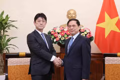 Bộ trưởng Ngoại giao Bùi Thanh Sơn tiếp Hạ nghị sỹ, Thứ trưởng Ngoại giao Nhật Bản Komuru Masahiro. (Ảnh: An Đăng/TTXVN)