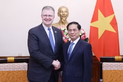 Bộ trưởng Ngoại giao Bùi Thanh Sơn tiếp Trợ lý Bộ trưởng Ngoại giao Hoa Kỳ phụ trách các vấn đề Đông Á và Thái Bình Dương Daniel Kritenbrink. (Ảnh: Lâm Khánh/TTXVN)