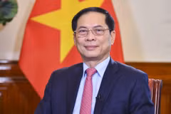 Bộ trưởng Bộ Ngoại giao Bùi Thanh Sơn. (Ảnh: TTXVN phát)