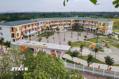 Ảnh minh họa. (Nguồn: TTXVN)