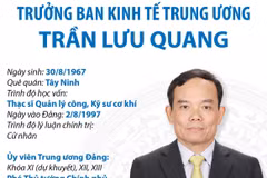 Trưởng Ban Kinh tế Trung ương Trần Lưu Quang