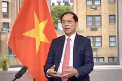 Phó Thủ tướng, Bộ trưởng Ngoại giao Bùi Thanh Sơn trả lời phỏng vấn về chuyến công tác của Tổng Bí thư, Chủ tịch nước Tô Lâm tới Mông Cổ, Iceland và Pháp. (Ảnh: TTXVN phát)