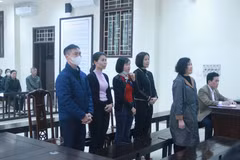 Các bị cáo tại phiên xét xử. (Ảnh: Thu Hoài/TTXVN)