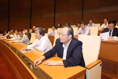 Quốc hội biểu quyết thông qua Luật báo chí (sửa đổi) hồi tháng 4/2016. (Ảnh: Phương Hoa/TTXVN)