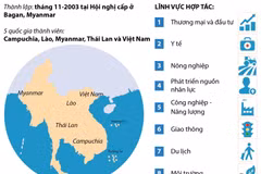 Những thông tin tổng quan về ACMECS