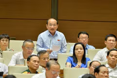 Ông Nguyễn Thanh Hiền - đoàn đại biểu tỉnh Nghệ An. (Ảnh: Quochoi.vn)