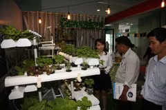 Một số hình ảnh tại triển lãm. (Ảnh: Hoàng Hải/Vietnam+)