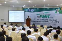 Tái cơ cấu sản xuất lúa gạo ở Đồng bằng sông Cửu Long